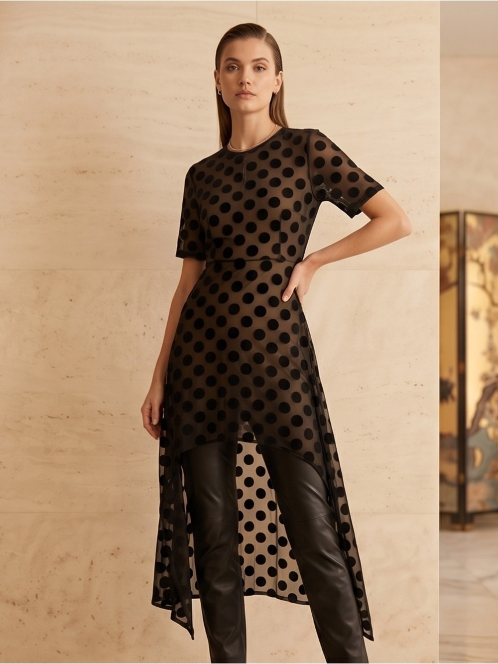 Zara ZW Limited Collection Black Polka Dot High-Low Mesh Dress
